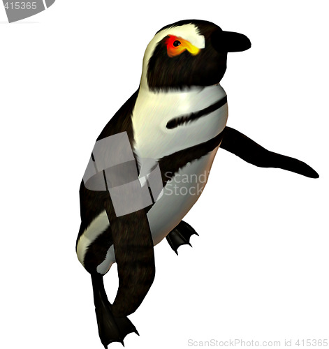 Image of Penguin dancer