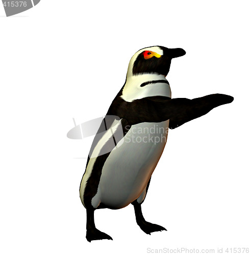 Image of Penguin dancer