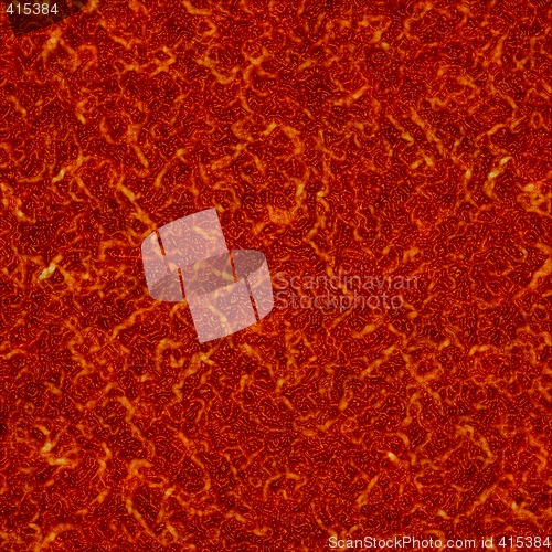 Image of Blood