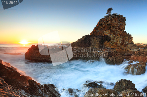 Image of One Tree Rock