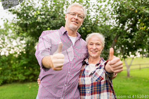 Image of happy senior couple hugging at summer garden