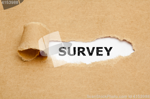 Image of Survey Ripped Paper Concept