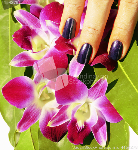 Image of bright colored photo of fingernails with manicure and orchids ma