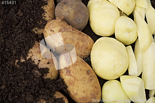 Image of Potatos (potatoes)