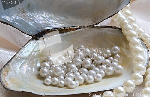 Image of Oyster and pearls