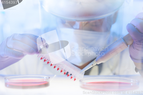 Image of Working in the laboratory with a high degree of protection