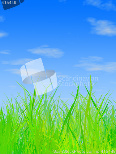 Image of Grass and sky
