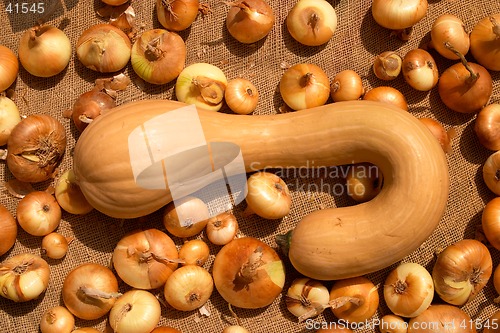 Image of Close up of a pumpkin surrounded by onions