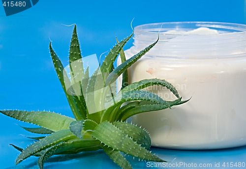 Image of Aloe Vera Cream