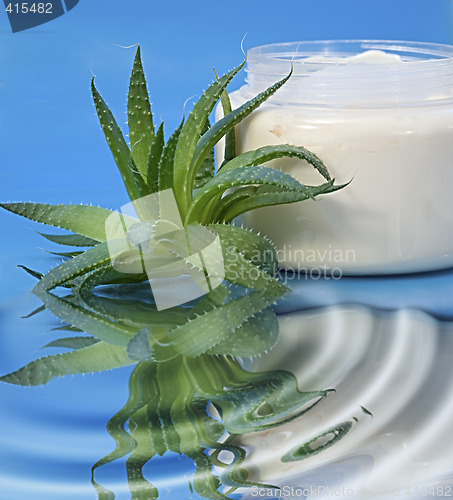 Image of Aloe Vera Cream