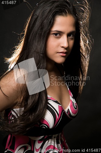 Image of Long hair brunette