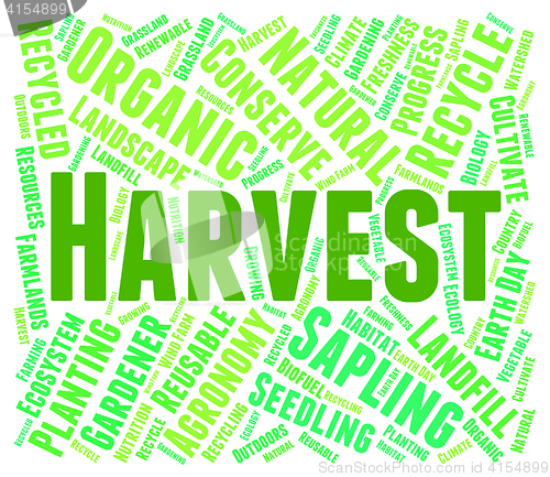 Image of Harvest Word Means Produce Grain And Harvests
