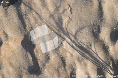 Image of Rock texture with grass shadow