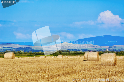 Image of Haystacks on the Field