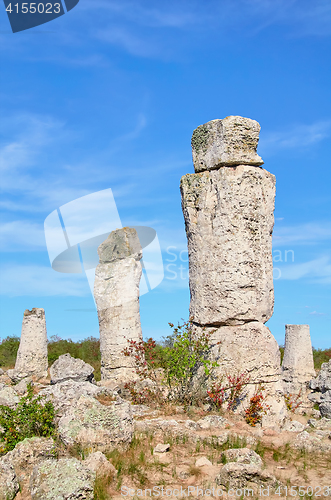 Image of The Stone Desert