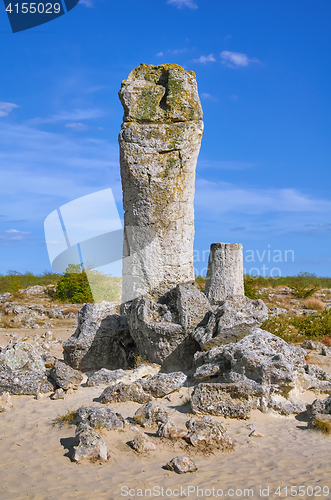 Image of The Stone Desert