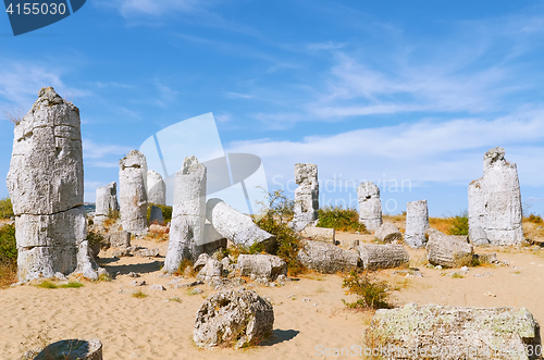 Image of The Stone Desert