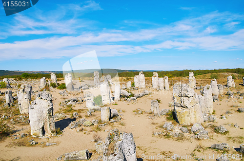 Image of The Stone Desert