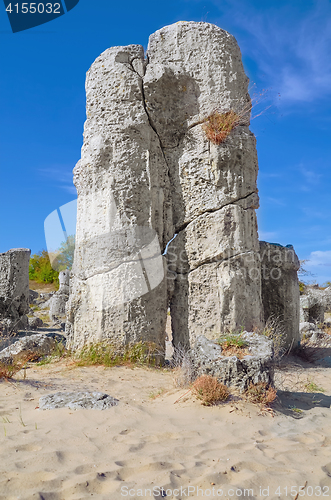 Image of The Stone Desert