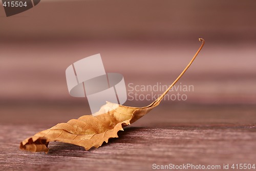 Image of Fallen