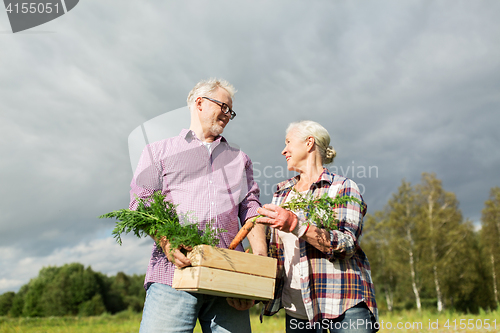 Image of senior couple with box of carrots on farm