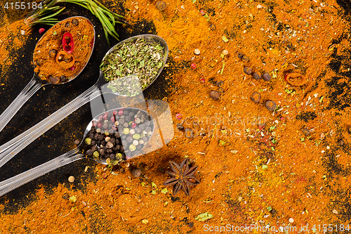 Image of Herbs and spices selection - cooking, healthy eating