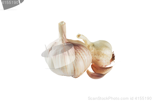 Image of Garlic bulb isolated on white background cutout