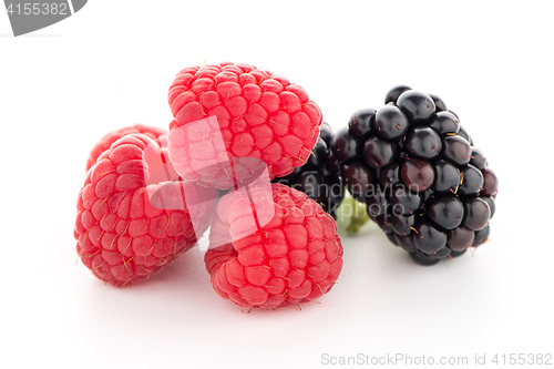 Image of Raspberries and blackberry with mint leaf