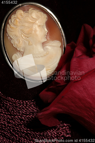 Image of  cameo and red rose macro shot