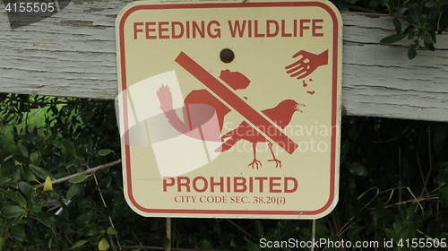 Image of Feeding Wild Life Prohibited_8705