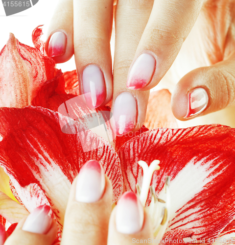 Image of beauty delicate hands with pink Ombre design manicure holding re