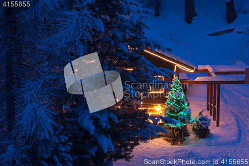 Image of christmas tree outdoor decoration