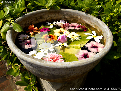 Image of Flowers for decoration