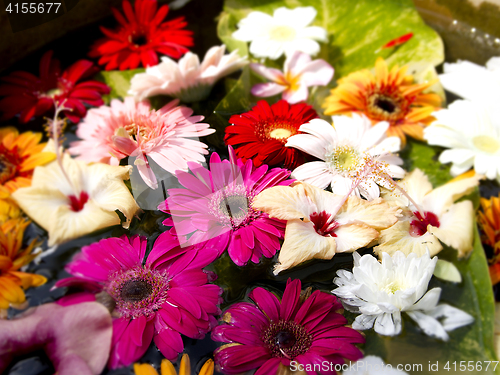 Image of Flowers for decoration