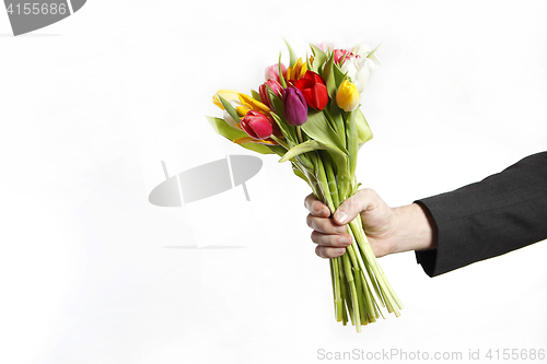 Image of Male hand with bouquet of tulips, isolated