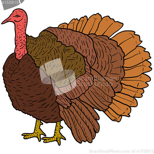 Image of Sketch black turkey on a white background. illustration.