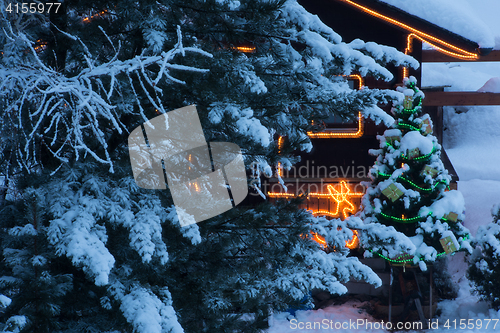 Image of christmas tree outdoor decoration