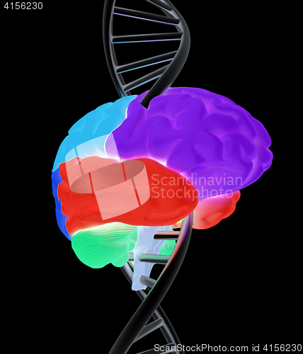 Image of Brain and dna. 3d illustration