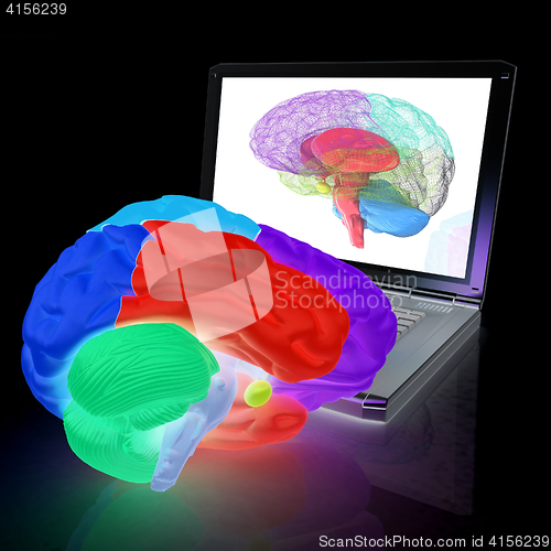 Image of creative three-dimensional model of real human brain and scan on