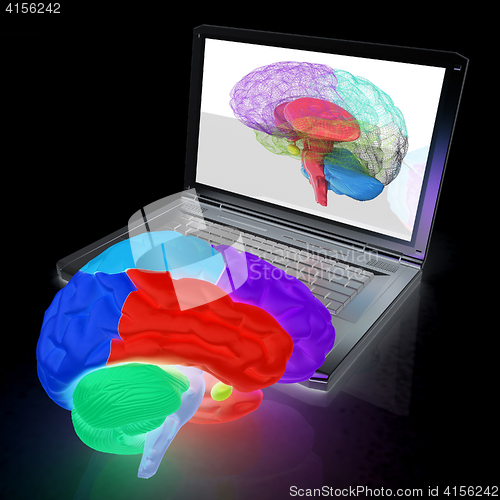 Image of creative three-dimensional model of real human brain and scan on