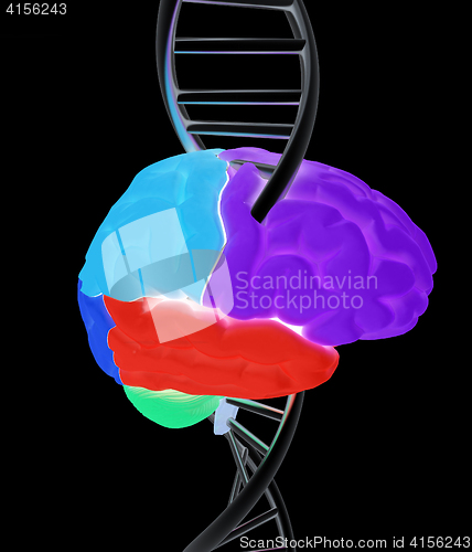 Image of Brain and dna. 3d illustration