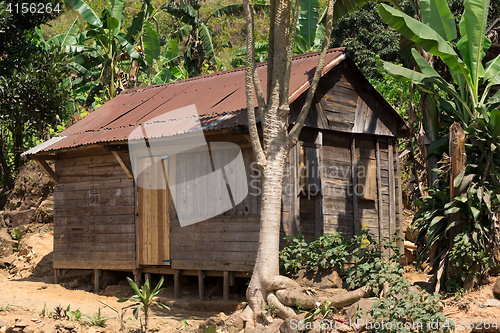 Image of African malagasy huts in Andasibe region