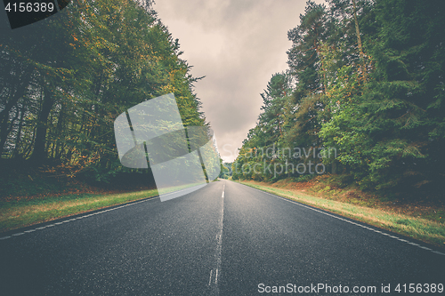 Image of Asphalt road surrounded by colorful trees