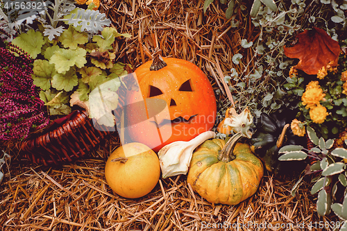 Image of Jack-o-lantern decoration with pumpkins