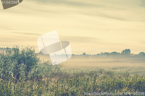 Image of Morning mist in the wilderness on a cold morning