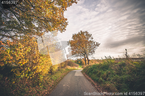 Image of Trees in autumn colors by a nature trail