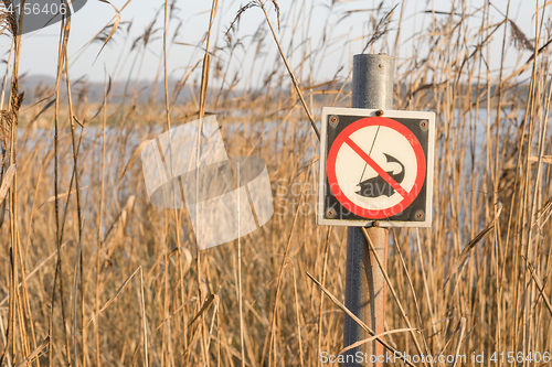 Image of Fishing sign by a river with tall reeds