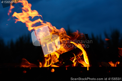 Image of Fire flames background