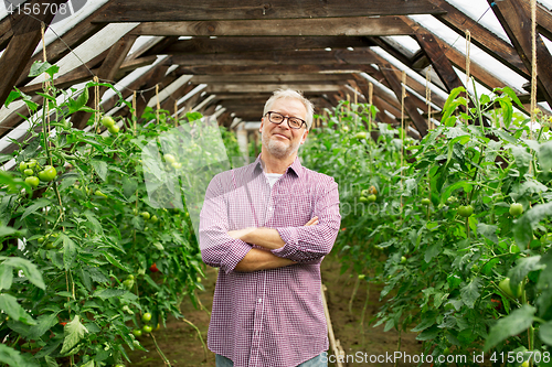 Image of happy senior man at farm greenhouse