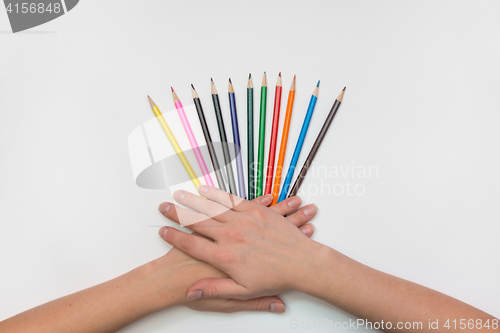 Image of On a sheet of paper spread out like a fan of pencils, women\'s hands, palms lie on them